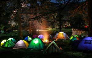 Un terrain de camping au cœur de la forêt.